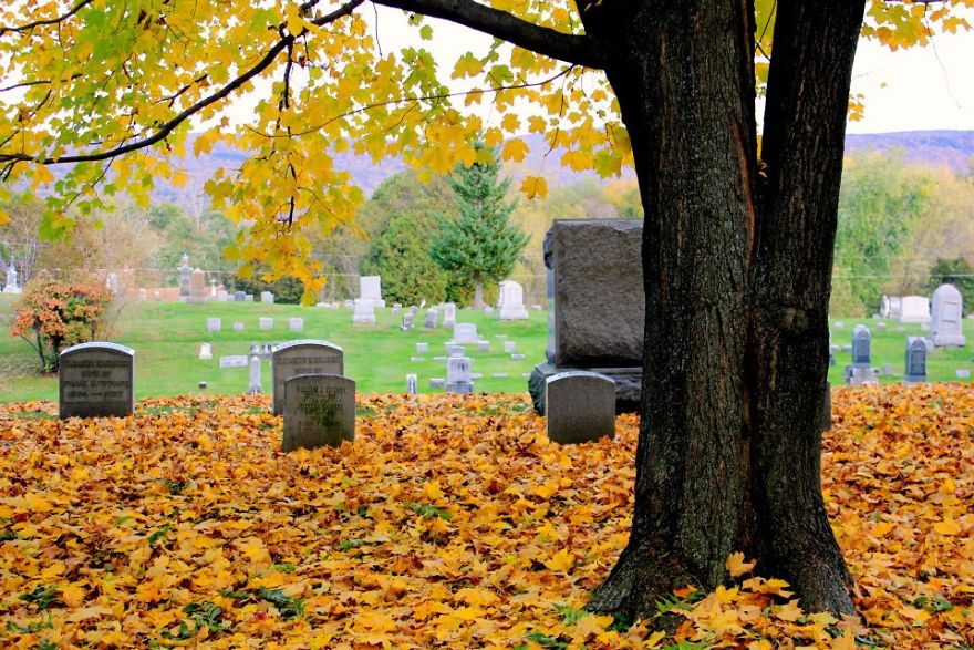 I Love The Somber Beauty Of Cemeteries.