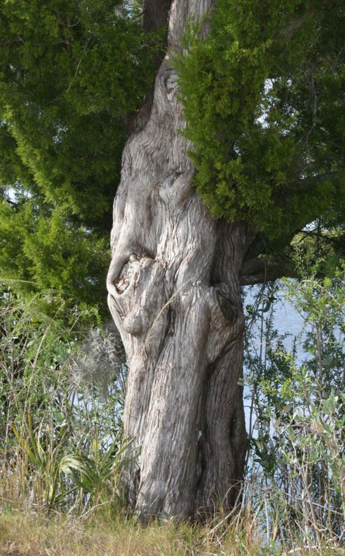 A Mother And The Child