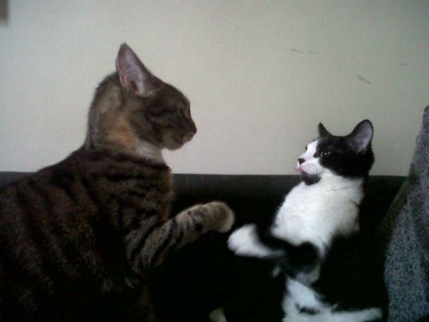 Prepare For A Dual Peasant!