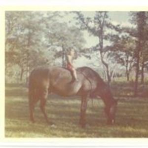 bettysellsaustin avatar