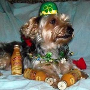 gchasepinkney avatar