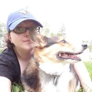 dksommerfeldt avatar