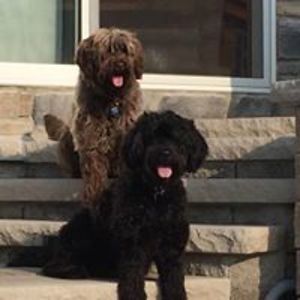 janet_m_malecki avatar