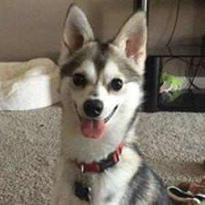 ch_lambrinakou avatar