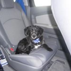 judithharris1 avatar