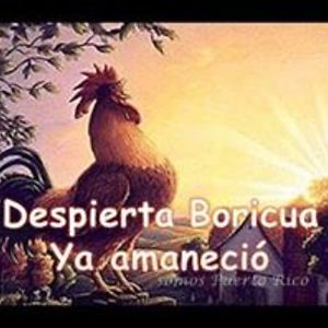 margaritaperez2120 avatar