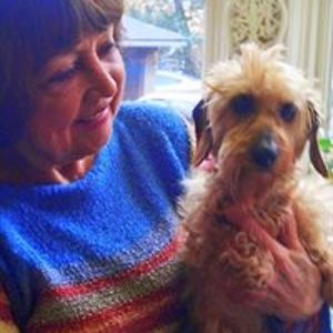 joansenerchia avatar