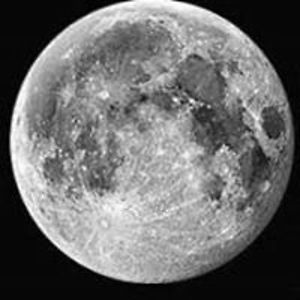 drummerchrisca avatar