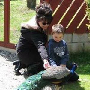 carly_gullefer avatar