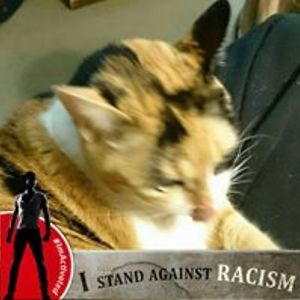 jspencerpartlow avatar