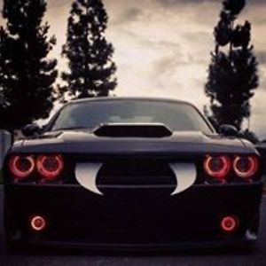 sandravzgammill avatar