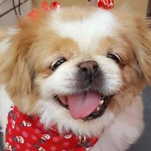 jill_johanningmeier avatar