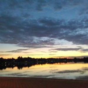 vogelvirginia84 avatar