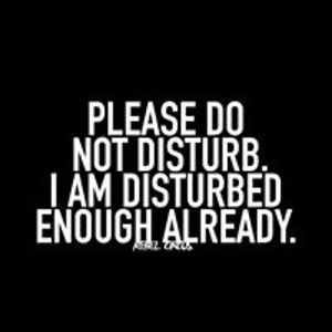 evgenia_palikova avatar