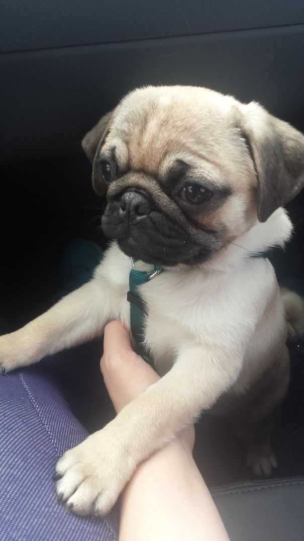 My Husband Made Me An Early Birthday Present. Love Him!