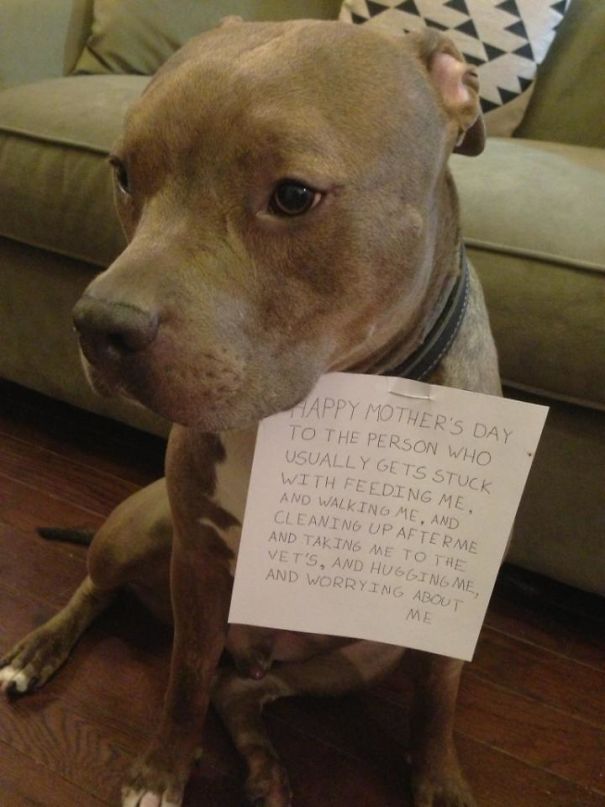 My Husband Texted This Photo To Me This Morning. Made Me Smile Ear To Ear!