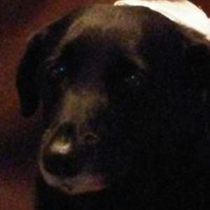 cnarobbinswork avatar