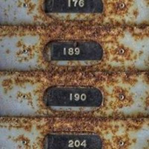 cottageonevergreen avatar