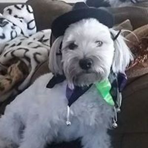 jennifer_fruh_walsh avatar