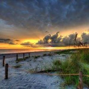 marshamsturgill avatar