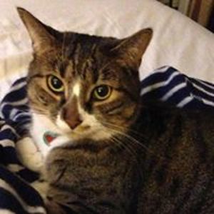 diannaleemann avatar