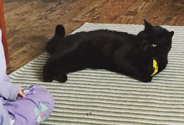 No Matter How Many Toys We Buy Him He Still Steals Our Children's