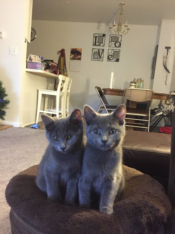 My Husband Got Me These Guys For Christmas! Left To Right: Piderman & Mr. Poopybutthole