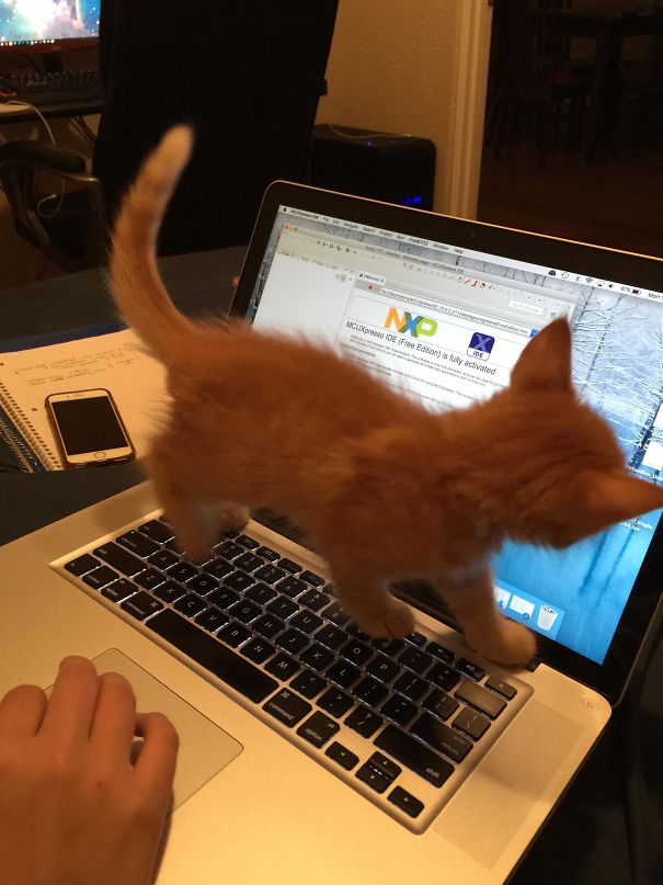 He Does This Way Too Much