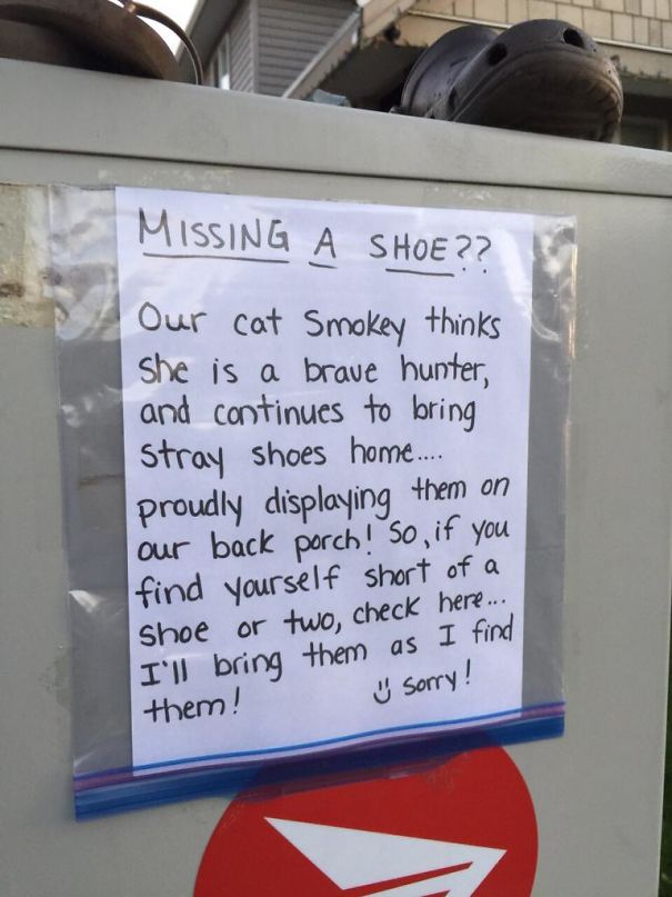 This Cat In My Neighbourhood