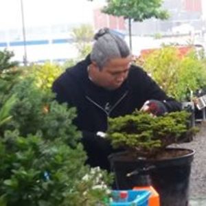 claudioestradaa avatar