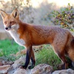 andrewworley048 avatar