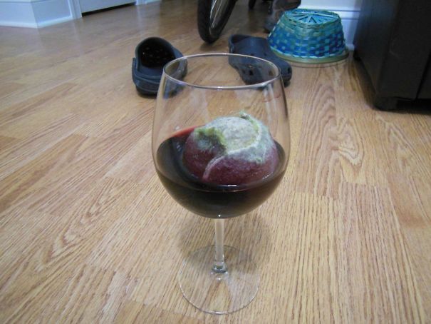 My Dog Is An Asshole