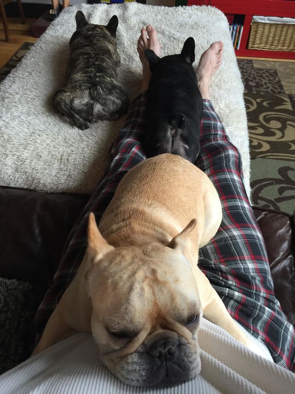 These 3 Assholes Woke Me Up Early For No Reason But To Do This