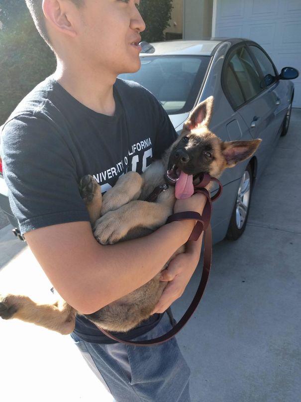 Lazy Little Jerk Made Us Carry Her On Our Way Home