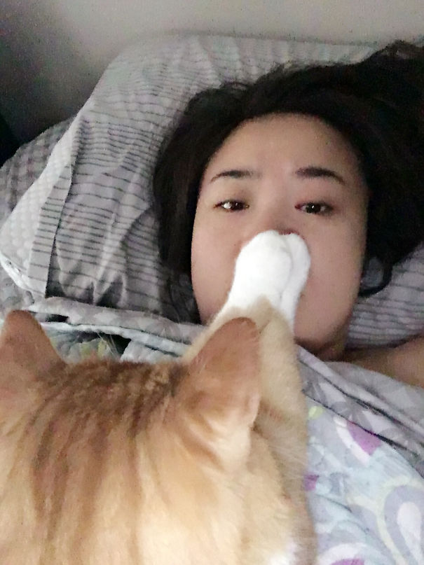 When You Wake Up To Your Cat Tryna Give You Eternal Sleep