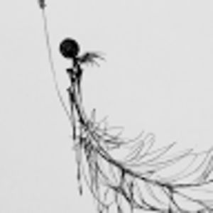 hippoeybippoey avatar