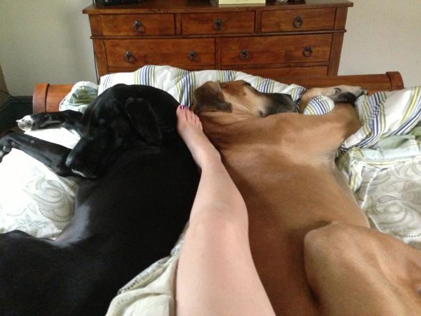 Thanks For Leaving Room For Me, Jerks