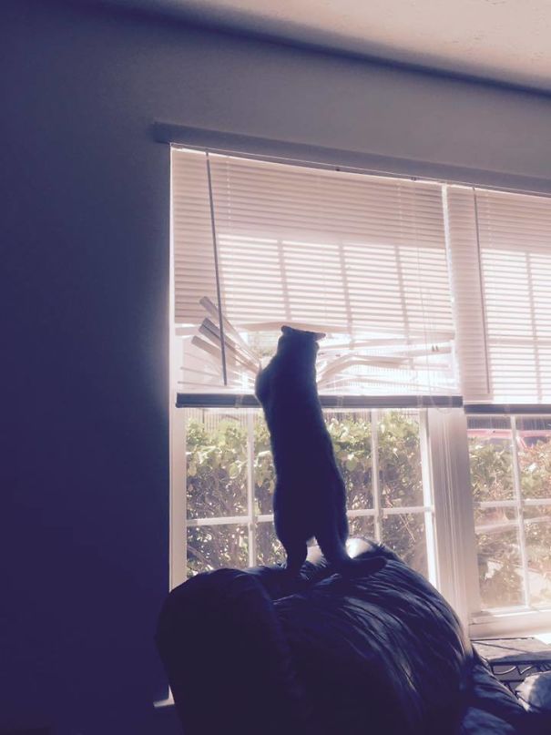 This Asshole Needed More Room To Look Out