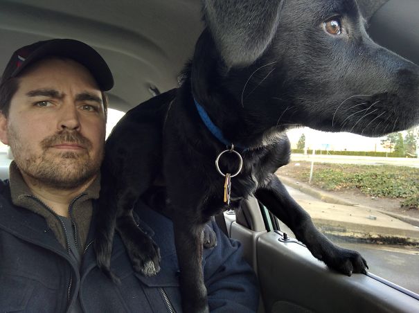 Dog, We're Going To Need To Devise A Different Strategy Here