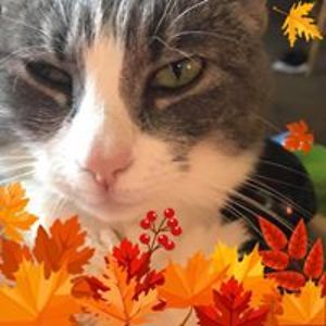 jennybennkraus avatar