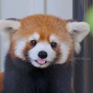 martina_larsen avatar