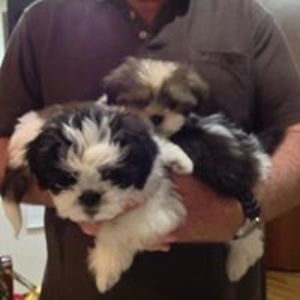 marlie_townsend avatar