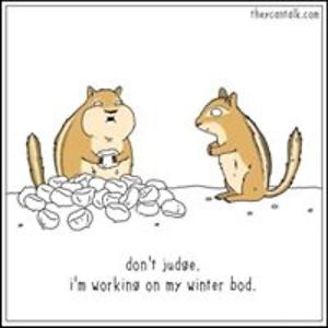 elisefeliz656 avatar