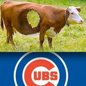 steveshay_2000 avatar