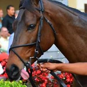 karen_sweatman avatar