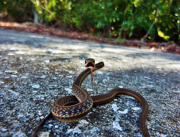 Not Quite Ready For The Camera