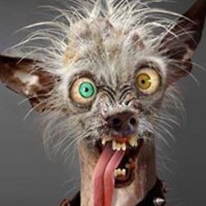 glennkpallast avatar