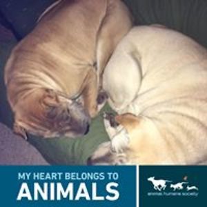 barbara_addoms avatar