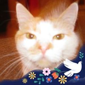 moon_creature avatar