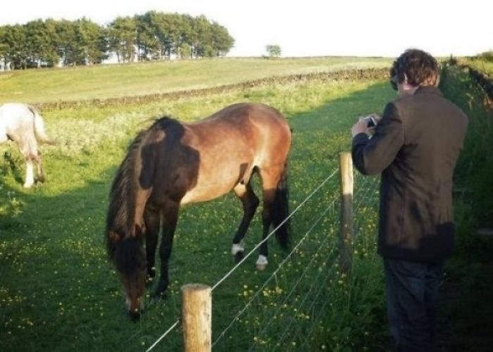 The Shadow Of His Legs Line Up With The Horses Legs